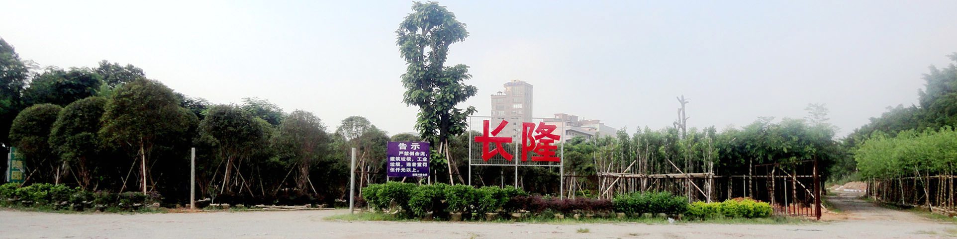 園林景觀綠化改造提升設計中應注意什么