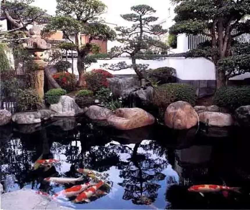 中國(guó)錦鯉魚池